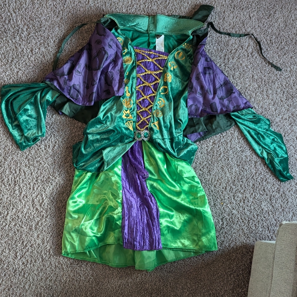Winifred Hocus Pocus Halloween costume